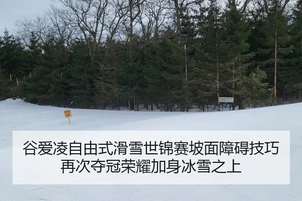 谷爱凌自由式滑雪世锦赛坡面障碍技巧再次夺冠荣耀加身冰雪之上